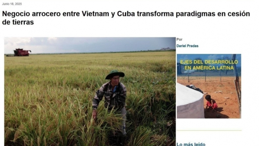 Vietnam–Cuba rice partnership sets new model for sustainable food security